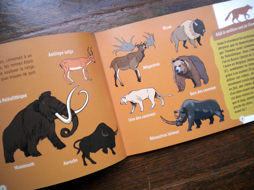 La vie préhistorique de Cro-Magnon-Maureen Lasne-Warzala